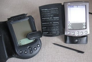 Palm Duo