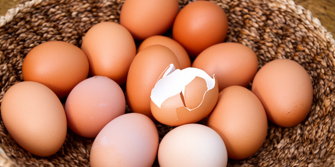 eggs in one basket